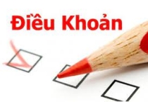Điều Khoản Dịch Vụ